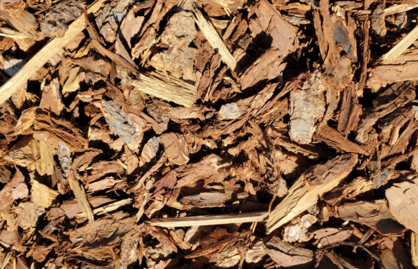 Medium Bark