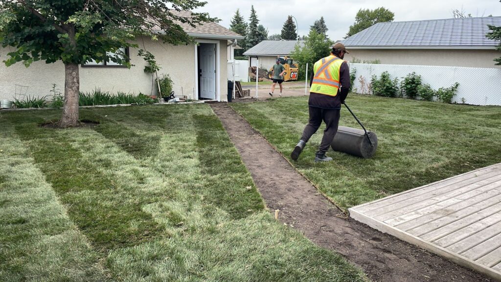 Sod Replacement