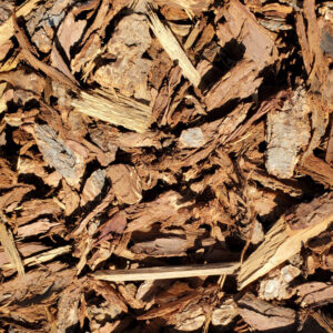 medium bark