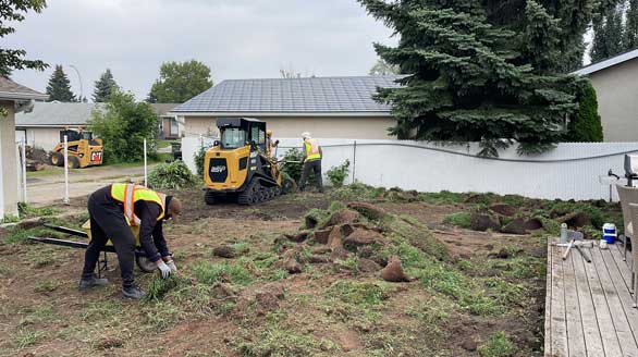 sod removal service