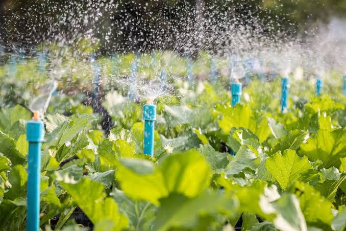 irrigation2