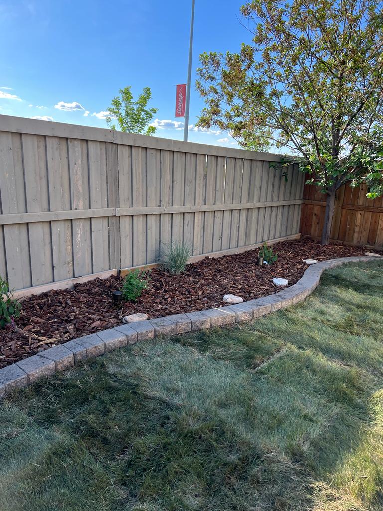 sod service3